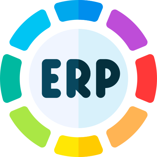 ERP Data Age